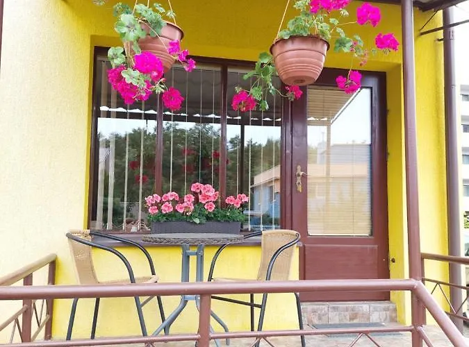 Pas Birute פלאנגה