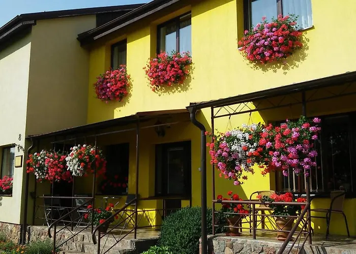 Pas Birute * פלאנגה